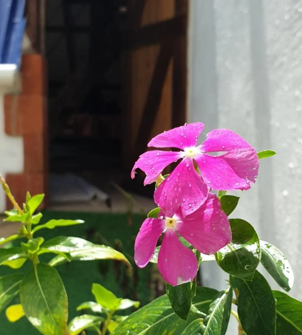 ג'ארהבקואה Canada House Queen Bed In 2Nd Floor Dbl Sofa Bed In 1St Floor Bbq Private Pool, River הרפובליקה הדומיניקנית