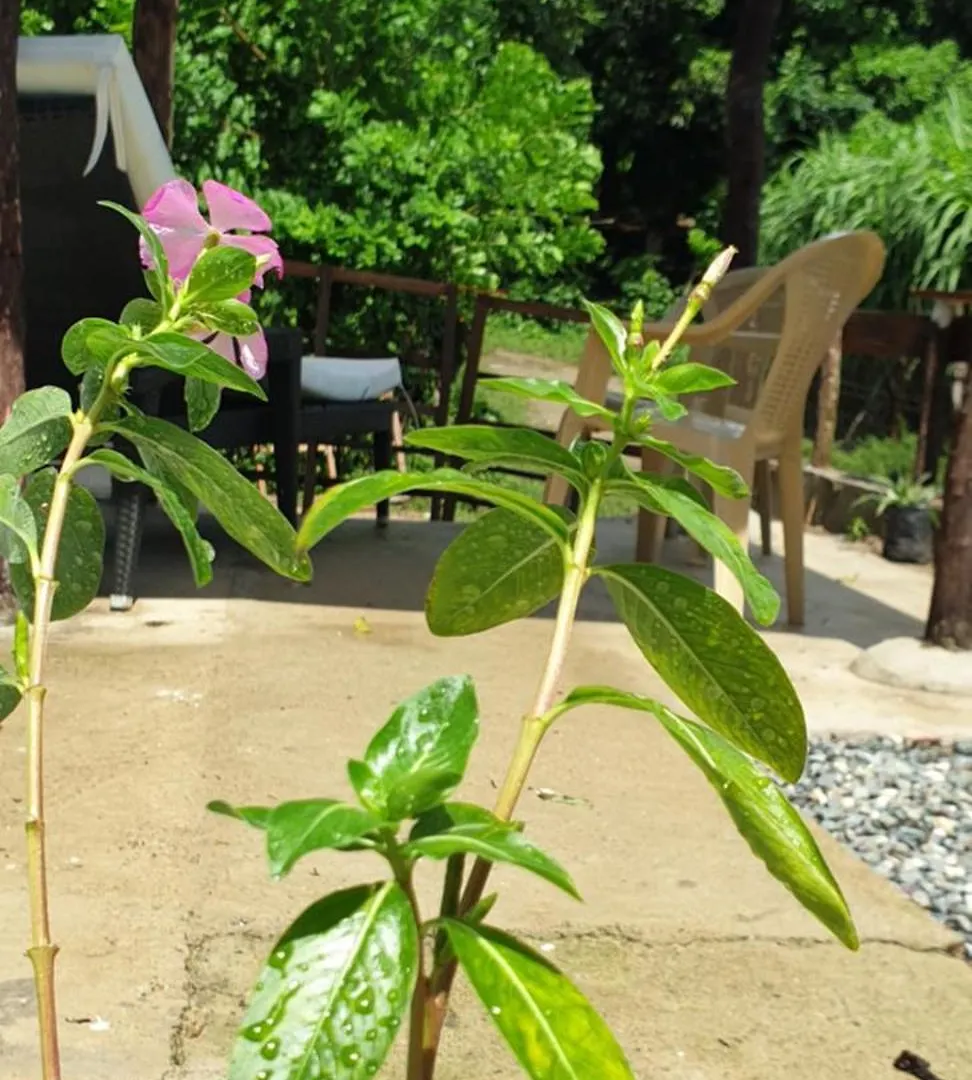 בית נופש ג'ארהבקואה Canada House Queen Bed In 2Nd Floor Dbl Sofa Bed In 1St Floor Bbq Private Pool, River הרפובליקה הדומיניקנית