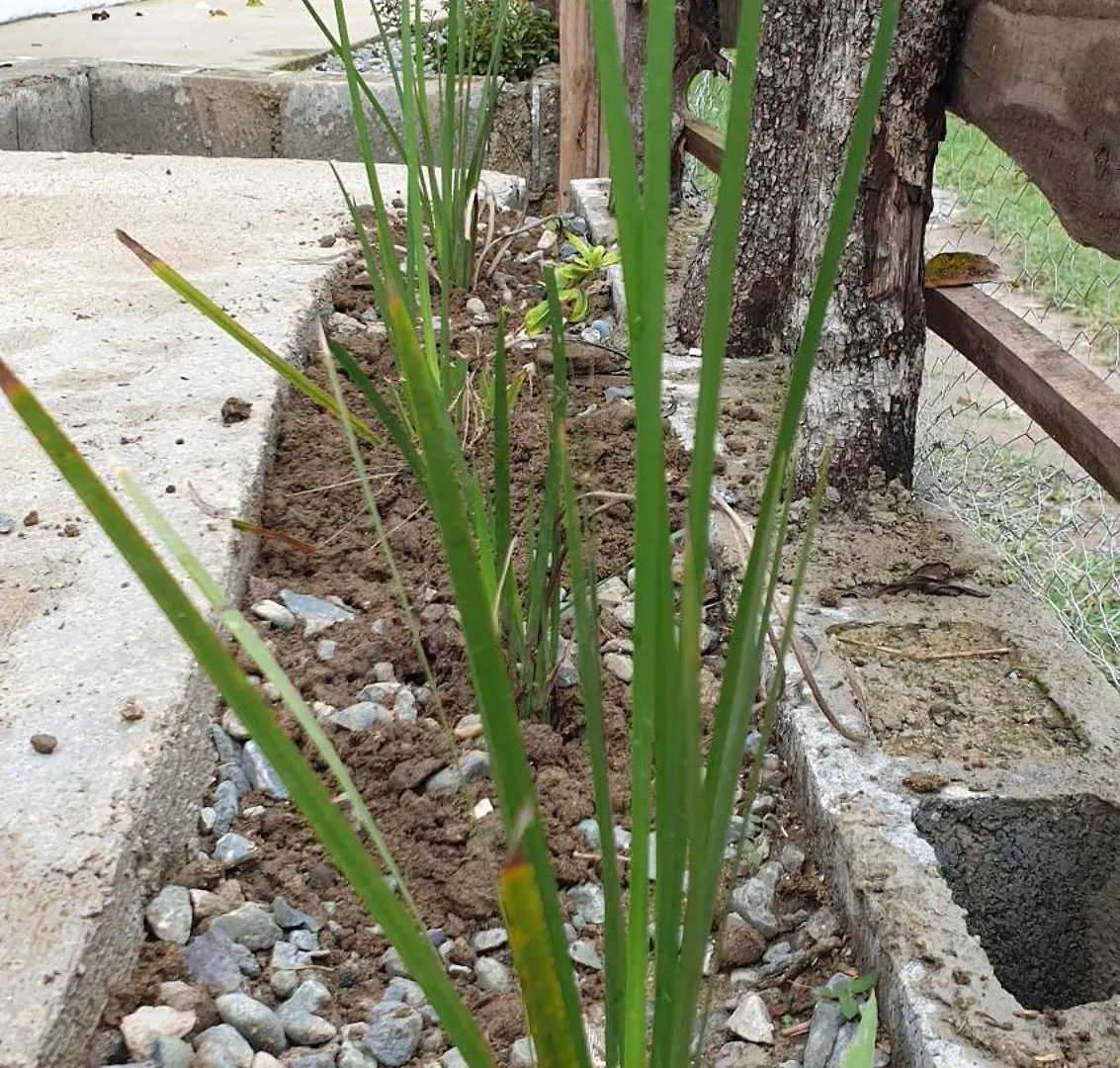 בית נופש ג'ארהבקואה Canada House Queen Bed In 2Nd Floor Dbl Sofa Bed In 1St Floor Bbq Private Pool, River הרפובליקה הדומיניקנית