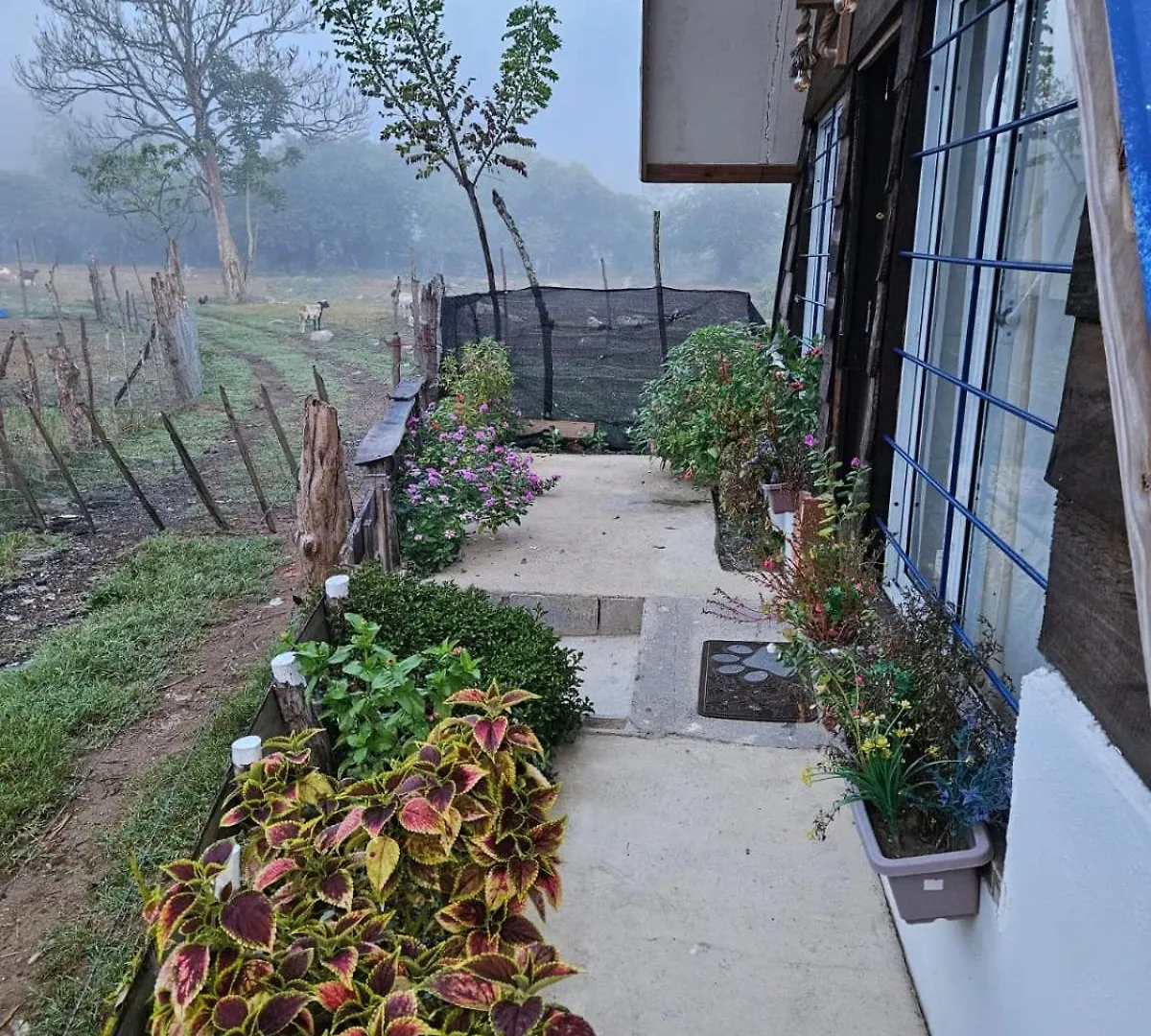ג'ארהבקואה Canada House Queen Bed In 2Nd Floor Dbl Sofa Bed In 1St Floor Bbq Private Pool, River הרפובליקה הדומיניקנית