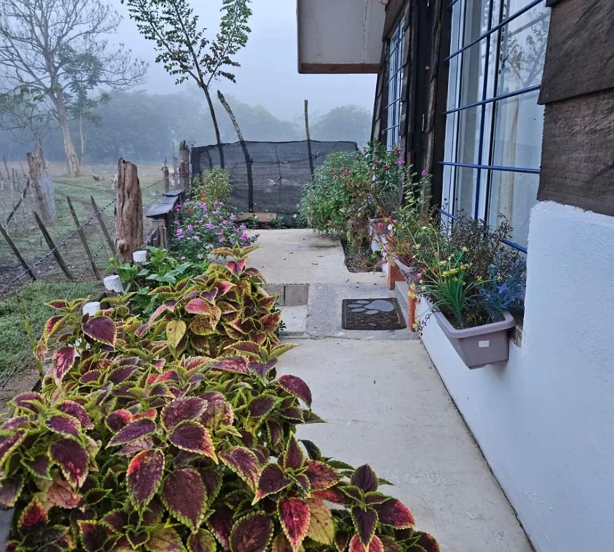 ג'ארהבקואה Canada House Queen Bed In 2Nd Floor Dbl Sofa Bed In 1St Floor Bbq Private Pool, River בית נופש