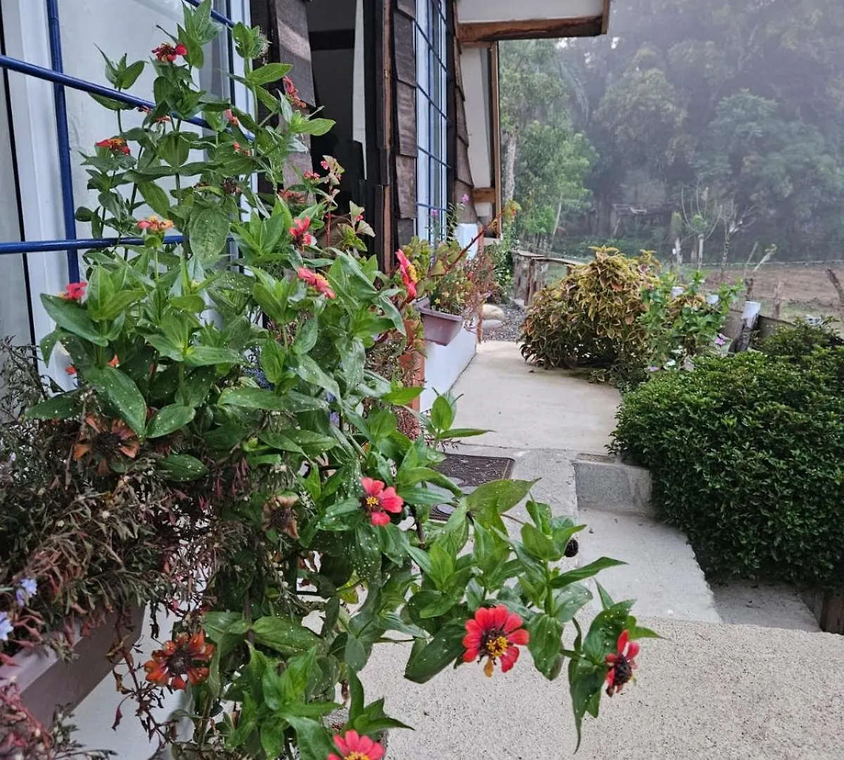 בית נופש ג'ארהבקואה Canada House Queen Bed In 2Nd Floor Dbl Sofa Bed In 1St Floor Bbq Private Pool, River הרפובליקה הדומיניקנית