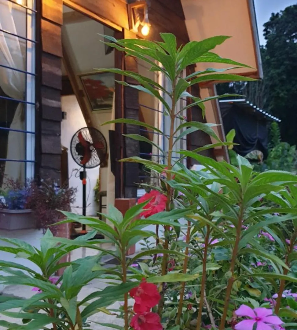 Canada House Queen Bed In 2Nd Floor Dbl Sofa Bed In 1St Floor Bbq Private Pool, River Jarabacoa Dom wakacyjny